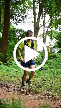 BIB:  <button type="button" onclick="openModal(26824071)" class="btn btn-primary btn-sm float-right" data-toggle="modal" data-target=".modal-high-quality">
                <i class="fa fa-download"></i> Download
                </button>